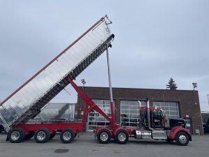 dompeur hybride rouge